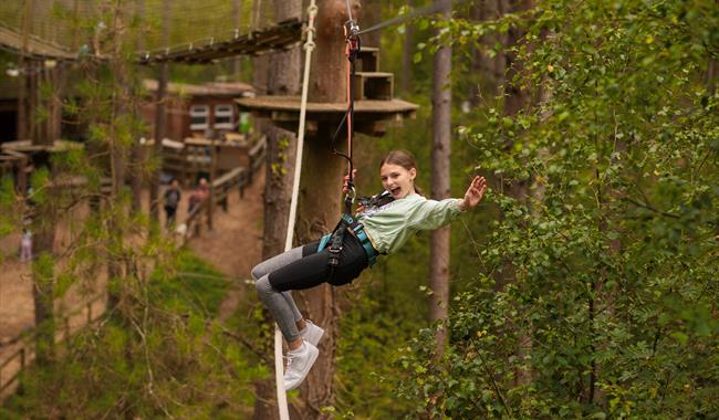 Treetop Adventure