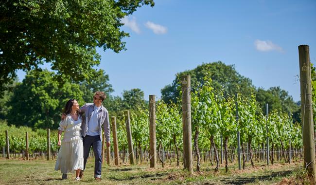 Theatre in Vines