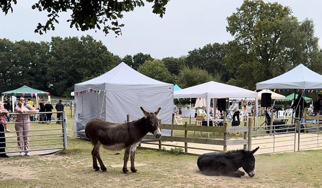 ABC Animal Sanctuary Open Weekend 2024