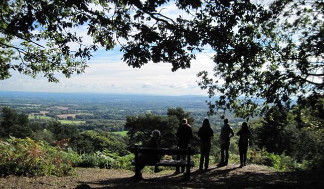 View North East from Black Down, credit South Downs National Park Authority photo library.