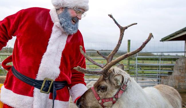 Christmas at the Farm - a magical festive experience at Hogshaw Farm