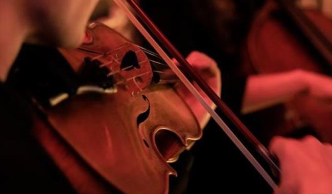 vivaldi