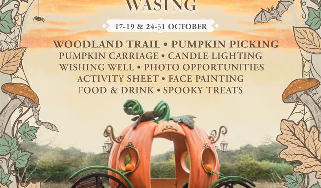 Wasing Pumpkin Event