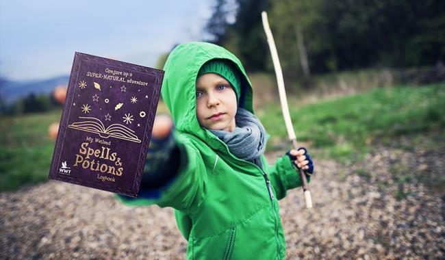 Boy with a Wand and his free WWT Spells and Potions log book