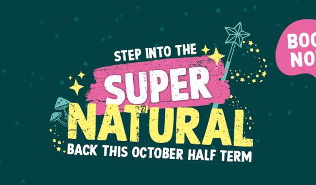 logo for Super Natural event