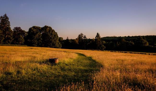 Coronation Meadow at dusk