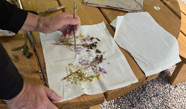 Mindful walk & Leaf Bashing