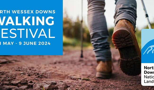 advertising banner for the walk festival
