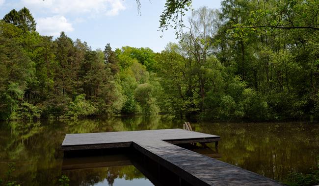 View over the wild swimming pool at Wasing Estate in Berkshire