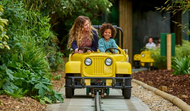 jungle jeep at drusillas park