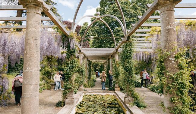 West Dean Gardens Pergola