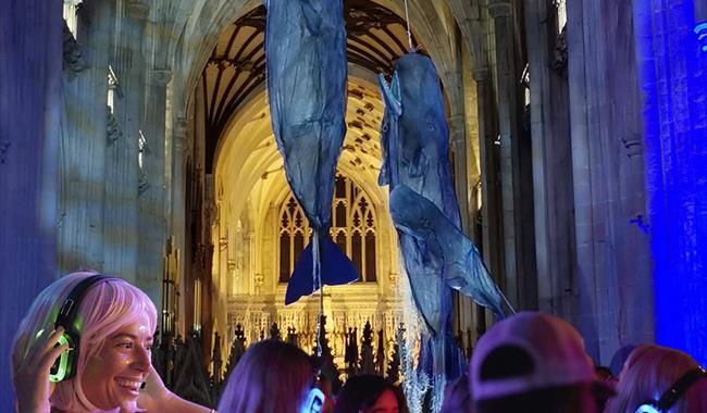 Silent disco under the Whales