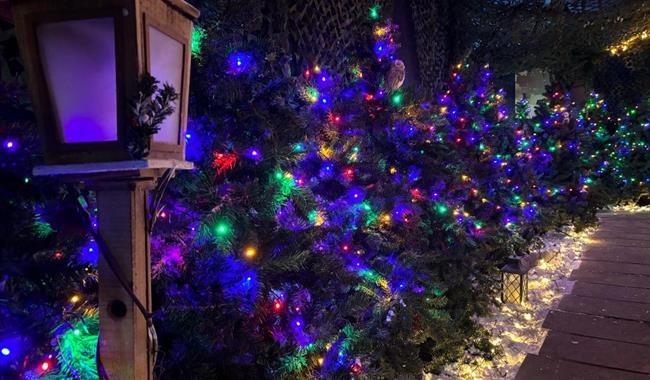 Award-Winning Experience Christmas at Kent Life