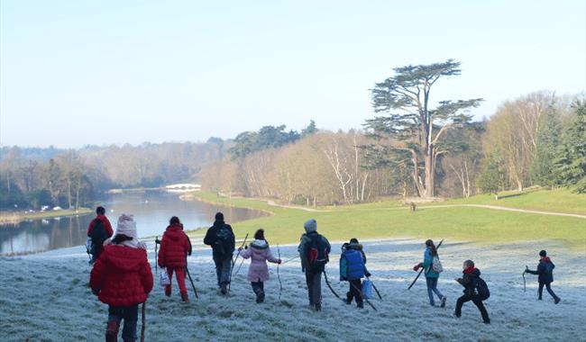 Wild Christmas camp at Painshill