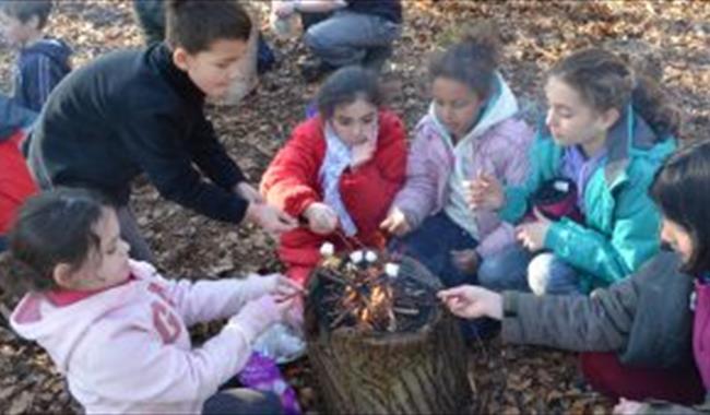 February Half Term Wild Woodland Camp