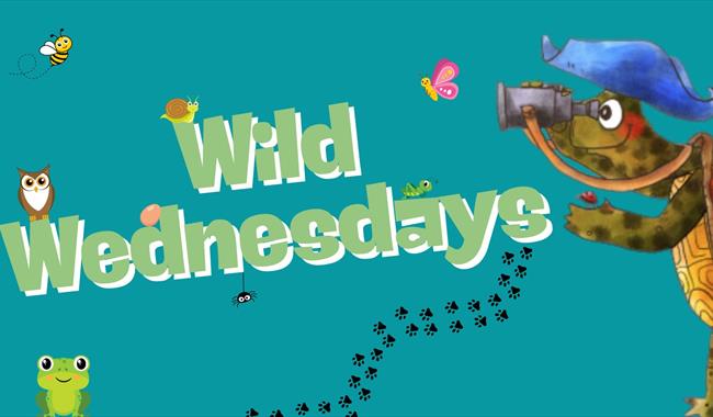 Wild Wednesdays
