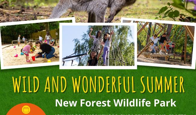Wild and Wonderful Sumer at New Forest Wildlife Park