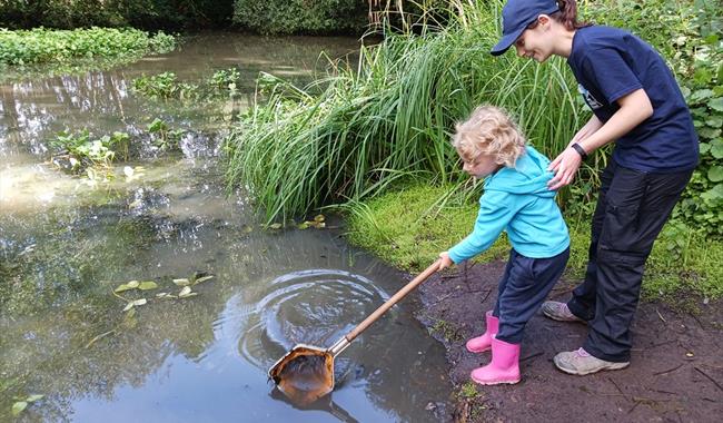 Go Wild with Wilder Holiday Club