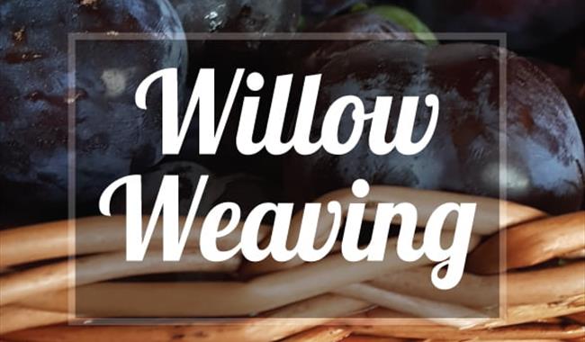 Willow Weaving Course