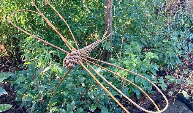 Dragonfly Willow Weaving
