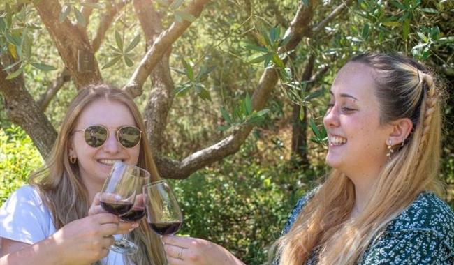 wine