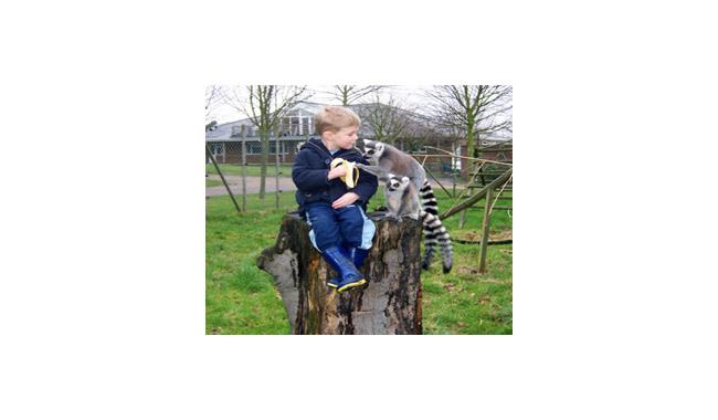 Wingham Wildlife Park