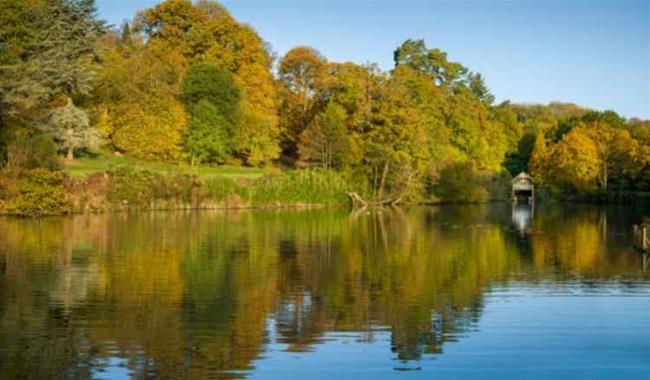 Winkworth Arboretum, Godalming, Surrey