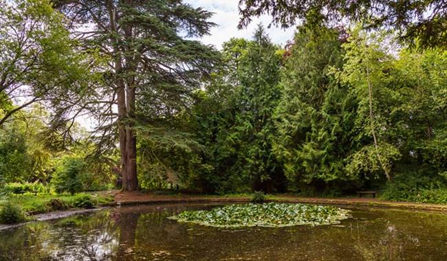 Wychwood Wild Garden