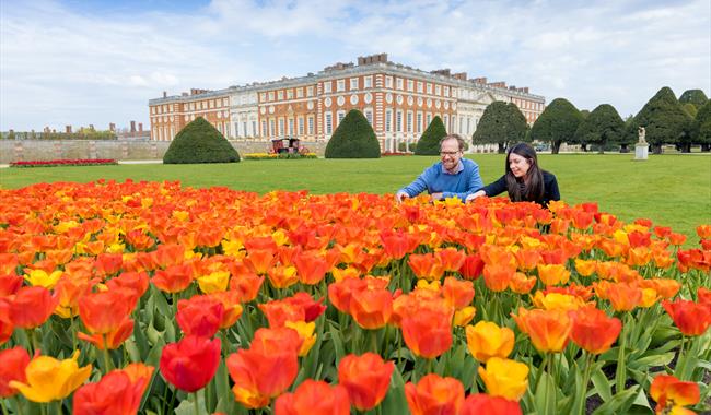 Tulip Festival at Hampton Court Palace