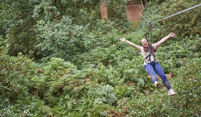 Girl on zip wire at Go Ape Moors Valley Country Park on the border of Hampshire and Dorset