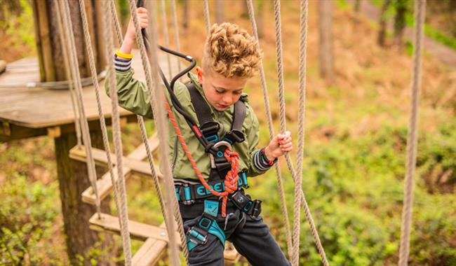 Child on high ropes at Go Ape Black Park - Summer Adventures in the great outdoors