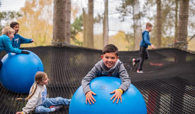 Nets Adventure at Go Ape Alice Holt