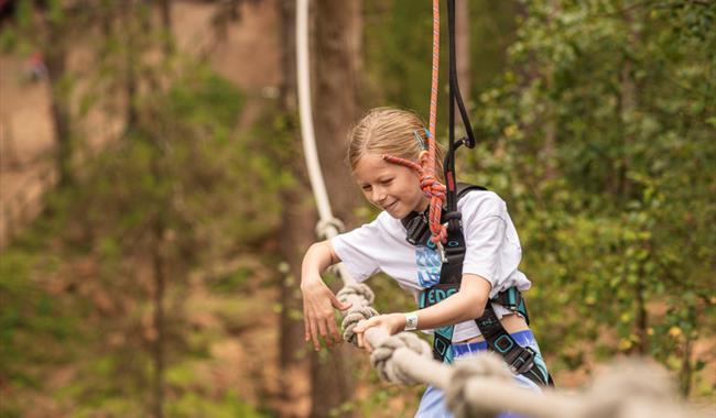 Girl on obstacle at Go Ape Bedgebury
