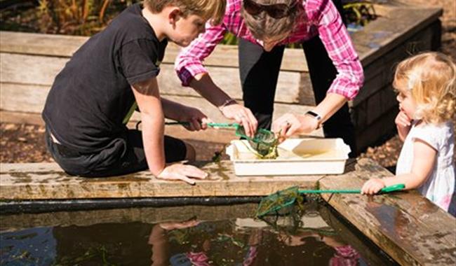 Pond Dipping at Sir Harold Hillier Gardens