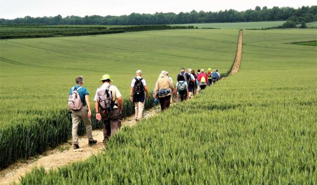 White Cliffs Walking Week