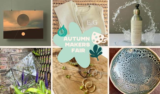 Paper Daisy Events
