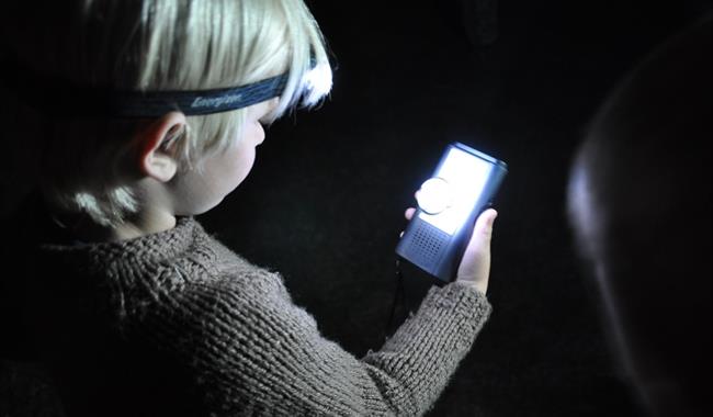Family Event: Bat Detecting