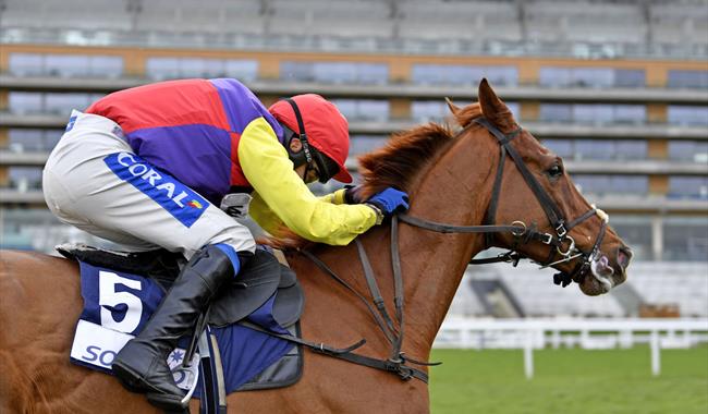 Betfair Ascot Chase Raceday at Ascot Racecourse