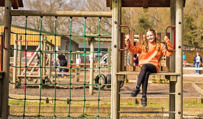 Farmyard Summer Fun