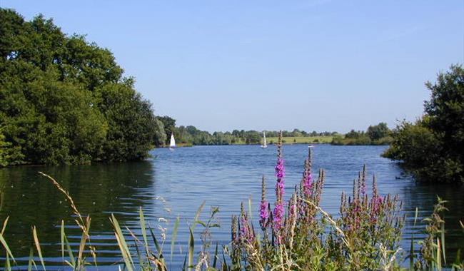 Dinton Pastures