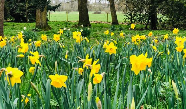 Mothering Sunday at Waterperry