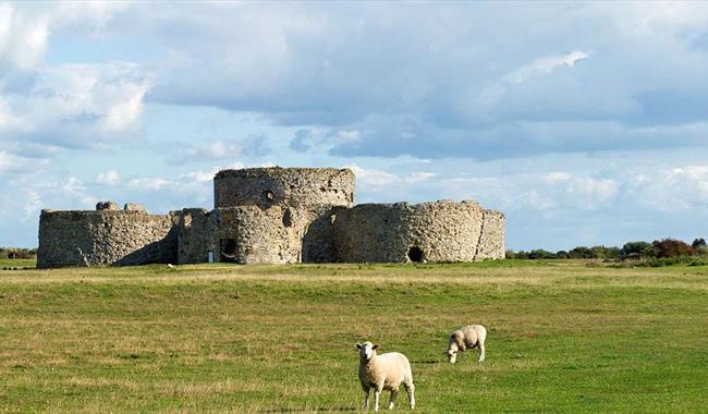 Camber Castle