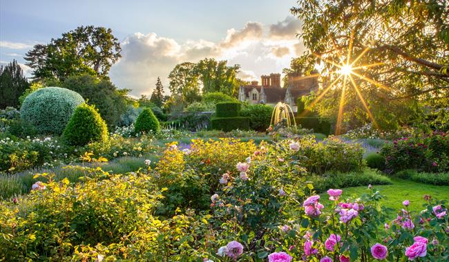 Borde Hill Garden