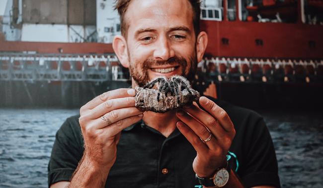 A particularly creepy crawly