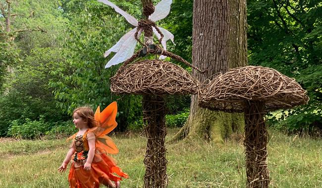 A child dressed as a fairy plays amongst the willow fungi