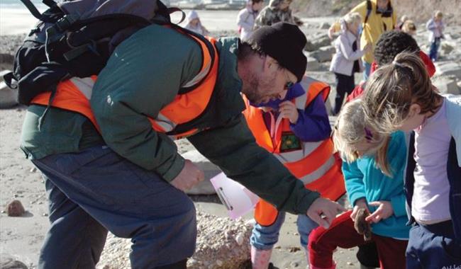 Fossil walk with team from Dinosaur Isle Museum