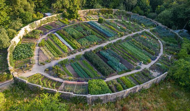 Garden Tours with Two Course Lunch at Gravetye Manor Hotel