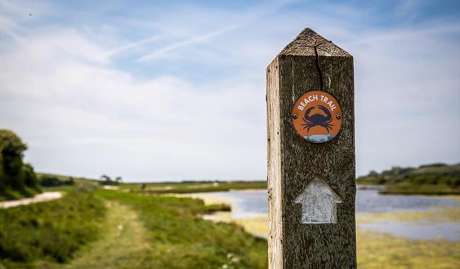 Eastbourne Walking Festival