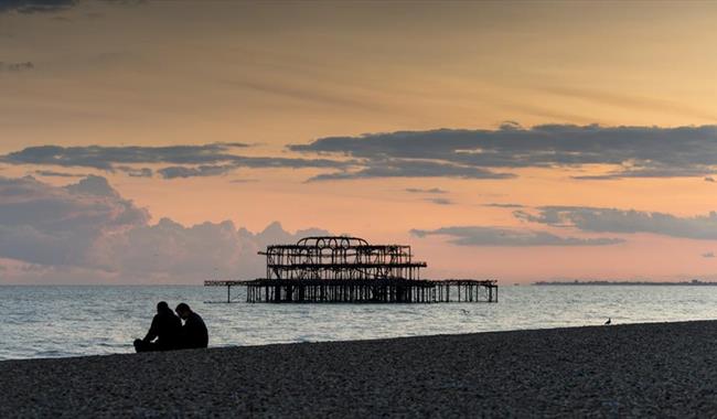 are dogs allowed on brighton pier