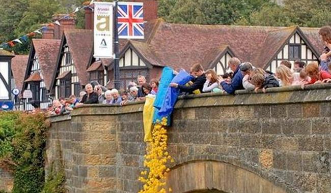 Ducks being released from Arundel Medieval Bridge for the annual duck race as part of Arundel Festival of Arts